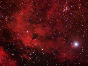 IC1318 - The Butterfly or Gamma Cygni nebula