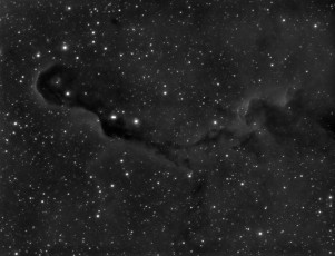 IC1396 - The Elephant Trunk nebula