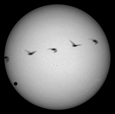 The Sun with a bird in transit