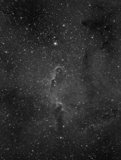 IC1396 - The Elephant Trunk nebula