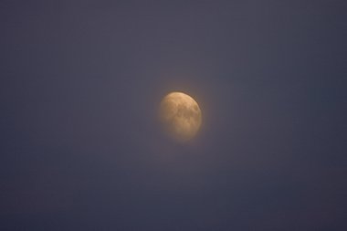Moon 050914