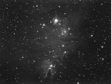The Cone nebula and Christmas tree cluster