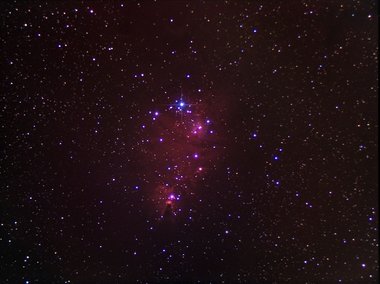 The Cone nebula and Christmas tree cluster