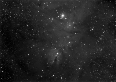 The Cone nebula and Christmas tree cluster