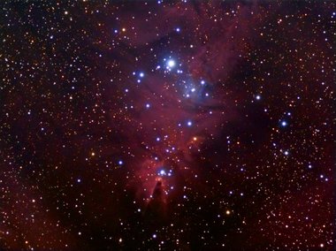 The Cone nebula and Christmas Tree cluster