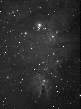 The Cone nebula and Christmas Tree cluster