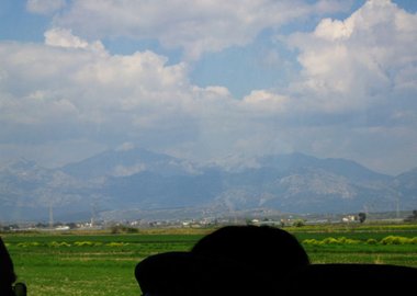 Img 0007