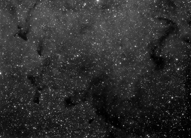 Part of the Elephant Trunk nebula