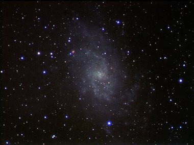 M 33