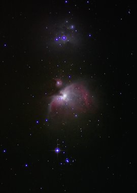 M 42