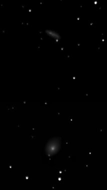 M 81