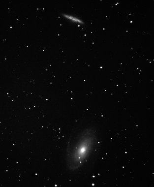 M 81