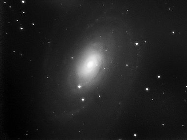 M 81