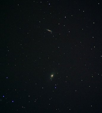 M 81