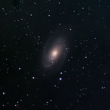 M 81