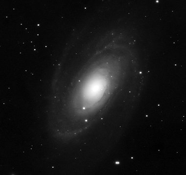 M 81