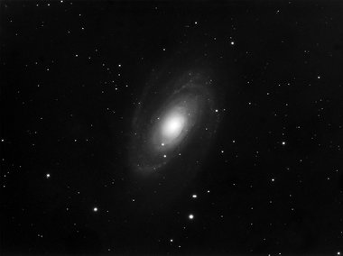 M 81
