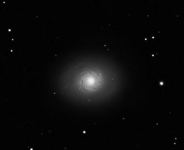 M 94