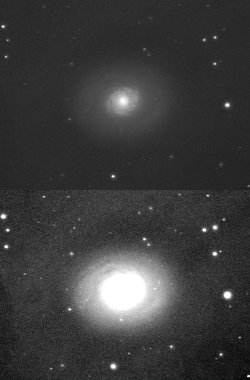 M 94