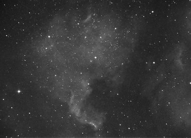 NGC 7000