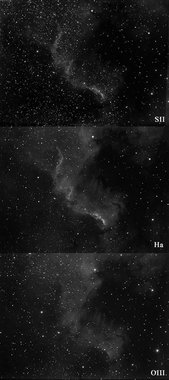 NGC 7000