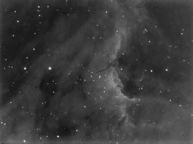 The Pelican nebula