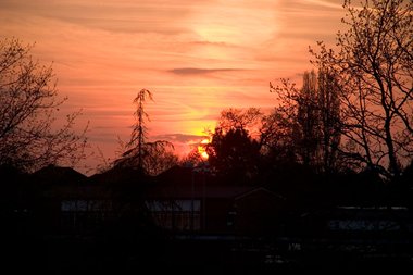 Canon 300D