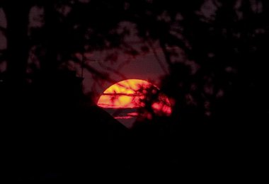 Canon 300D