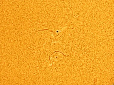 Sun 060414 Cua