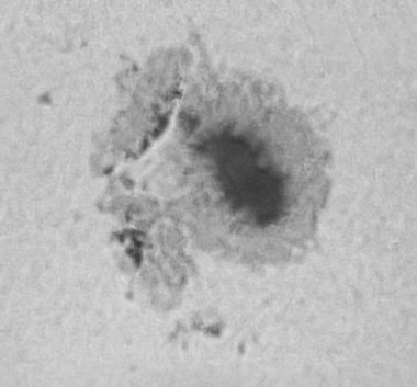 Sun 050502 20F Cu