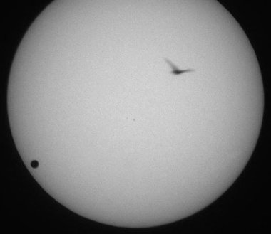 Venus 040608 0652