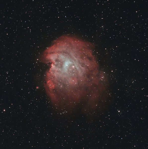 Monkey Head Nebula