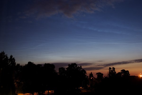 Nlc 060629 0345