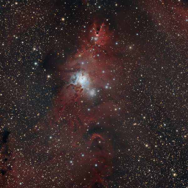 Cone Nebula