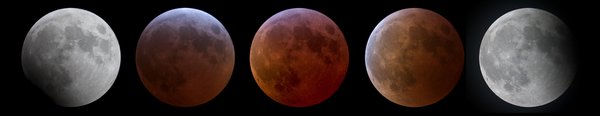 Lunar Eclipse