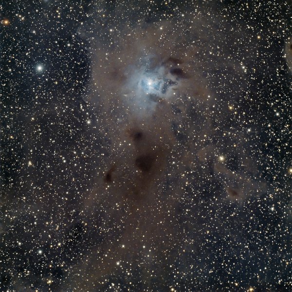 Iris Nebula