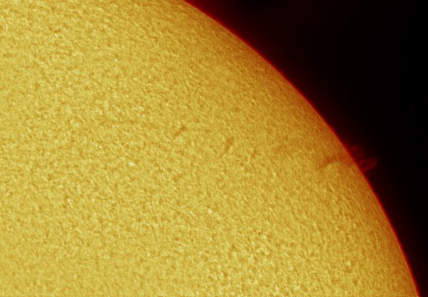 The Sun