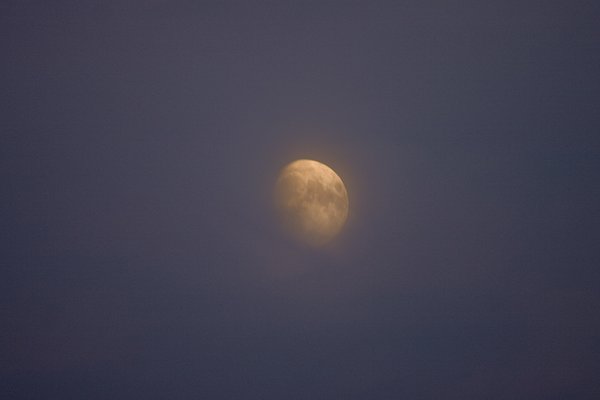 Moon 050914