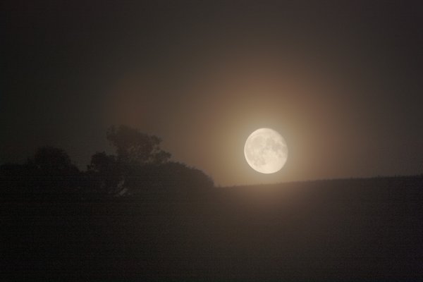Moon Comp 210825