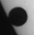 Vtrans Teardrop