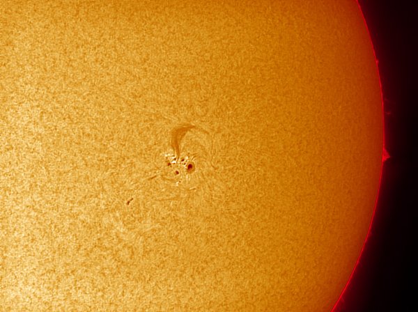 Sun 060828 1139 Col